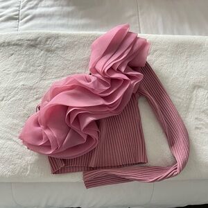 Zara Ribbed Knit Stretch Tulle Ruffle Mesh One Shoulder Sleeve Crop Top Mauve